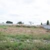 Prime 50×50 Land for Sale in Silverest  – Negotiable